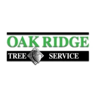 Earl's Oak Ridge Tree Service