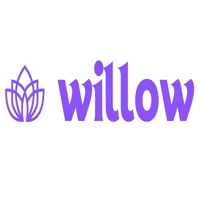 Willow Therapy Services