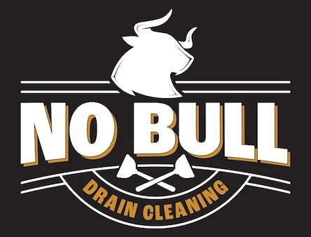 No Bull Drain Cleaning