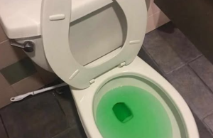 How To Unclog A Toilet Without Using A Plunger