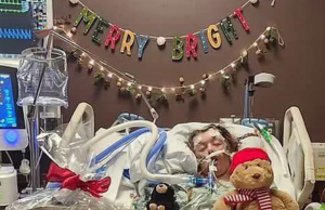 College Student Has Fatal Reaction to Brownie She Received from a Friend