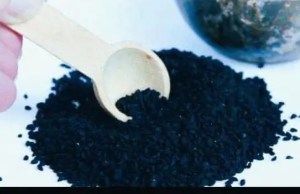 The Biblical Plant with the Power to Heal All Ailments: Black Cumin Seeds