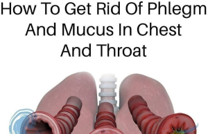 What Is Phlegm and Why Does It Accumulate?
