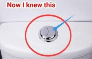 Many People Still Think These 2 Buttons Are Just for Flushing: The Truth About Dual Flush Toilets
