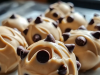 Frozen Greek Yogurt Peanut Butter Bites with Chocolate Chips Recipe