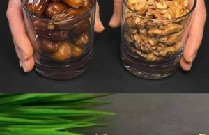 Guilt-Free Energy Dessert Bars