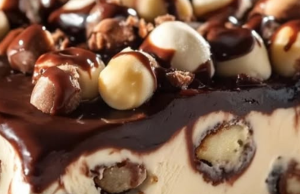 Buster Bar Ice Cream Cake Recipe