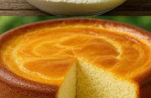 Condensed Milk Cake