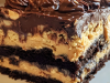 Chocolate Peanut Butter Ooey Gooey Butter Cake