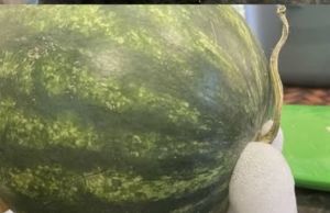 If Your Watermelon Starts to Look Like This, Get Rid of It Immediately
