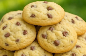 Best Chocolate Chip Cookies Recipe