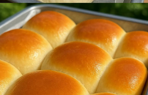 Soft No-Knead Dinner Rolls