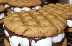 Peanut Butter S’mores Sandwich Cookies