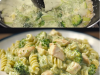 Pasta with Chicken and Broccoli in a Creamy Sauce