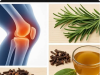 Natural Relief for Joint and Knee Discomfort: The Healing Power of Rosemary, Cloves, and Bay Leaf Tea