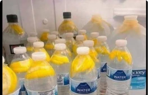 How Ginger Water Supports Weight Loss & Wellness