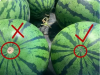 Tips for Choosing the Perfect Watermelon