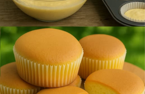 Moist and Fluffy Vanilla Cupcakes