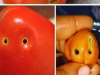 The Truth Behind Holes in Tomatoes:
