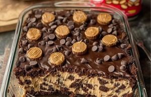 Reese’s Peanut Butter Earthquake Cake