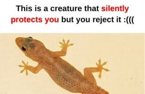 Oh it turns out we misunderstood them