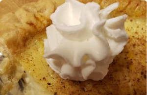 Old-Fashioned Egg Custard Pie