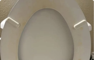 How I Successfully Removed Those Annoying Yellow Toilet Stains