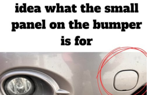 The Hidden Panel on Your Bumper Has a Life-Saving Purpose