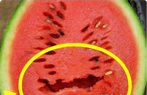 Why You Should Throw Away a Watermelon If It Looks Like This Inside