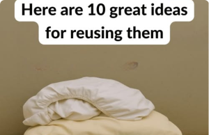 10 Smart Ways to Reuse Old Sheets and Save Money at Home