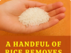 The Surprising Power of Rice: A Hidden Ally in Your Home