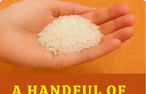The Surprising Power of Rice: A Hidden Ally in Your Home
