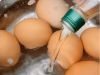 The Secret to Adding Vinegar to Water When Cooking Eggs