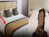 What’s the Purpose of the Fabric Strip Across Hotel Beds?