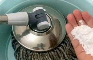 A Simple Trick to Keep Floors Clean, Dust-Free, and Smelling Fresh