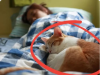 Do You Sleep with Your Cat? This Is the Worst Disease You Could Unknowingly Catch