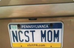 This Clever License Plate Has Everyone Talking — Can You Spot Why?