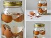 Eggshells, Don’t Throw Them Away: Soak Them in Hot Water and See What Happens
