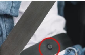 The Hidden Hero of Your Seat Belt: What Is That Little Round Button — And Why It’s Essential