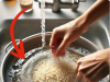 Understand Why It’s Wrong to Wash Rice Before Cooking It