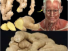 Surprising Health Benefits of Eating Ginger Every Day