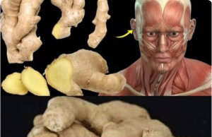 Surprising Health Benefits of Eating Ginger Every Day