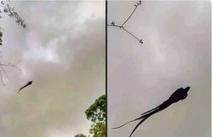 A Peculiar Photograph Has Been Circulating on Social Media — But There’s No Reason to Panic