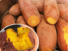 7 Shocking Health Benefits of Sweet Potatoes You Never Knew About