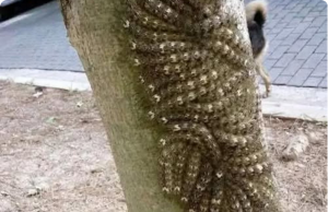 What My Daughter Nearly Touched Could Have Cost Her Life: Never Ignore This Sign in Nature