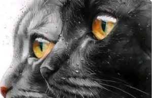 Nostradamus’s Predictions About Cats in the Home: Ancient Prophecy or Feline Wisdom?