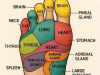 Put Oil on the Soles of Your Feet: An Ancient Practice with Surprising Benefits