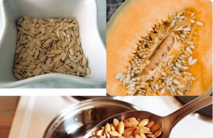 Why Boil Seeds of Melon? Unlock the Hidden Health Benefits of Melon Seed Tea