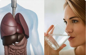 Benefits of Drinking Water on an Empty Stomach: Boost Your Health from the Start of the Day