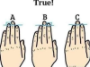 What Your Finger Length Could Reveal About Your Personality — The Results Might Surprise You!